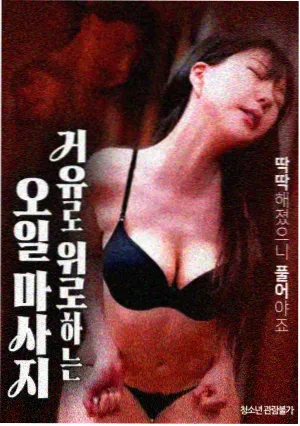 芮闪天女角色立绘